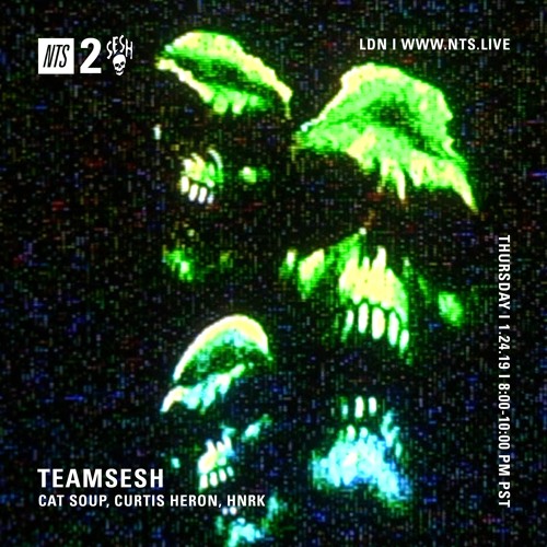 TeamSesh NTS 24th January 2019: hnrk, cat soup & Curtis Heron