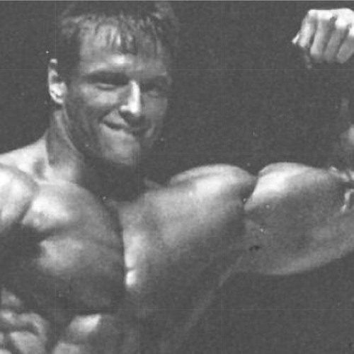 Conversations 126 Shawn Maves Bodybuilder Former Mr Ontario Images, Photos, Reviews