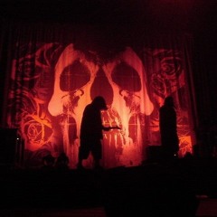 minerva "live"