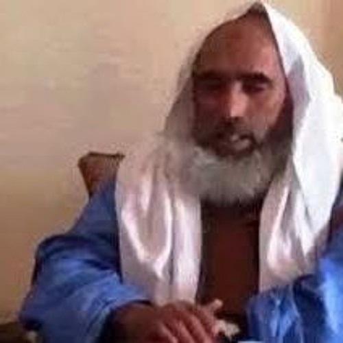 شرح ابن عاشر في الفقه المالكي / الشيخ محمد ولد سيدي يحي 3/41