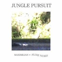Mesozoic Wind Mirage + Fluke Nukes - Jungle Pursuit