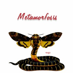 Metamorfosis - Zolar / Ft. Serosha