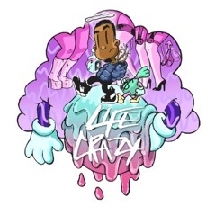 Life Crazy