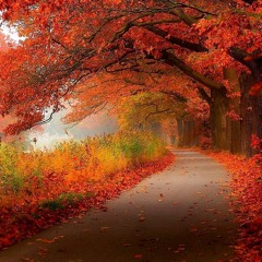 Fall (Prod. By Bruferr Beatz)