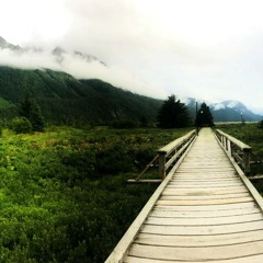 Tom Macdonald "I Wish"