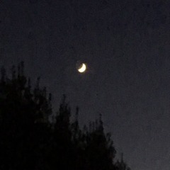 SHADE [w/$TONEBOY] (Prod. Kevin Kitana)