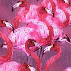 Flamingo - Prod by Fritz