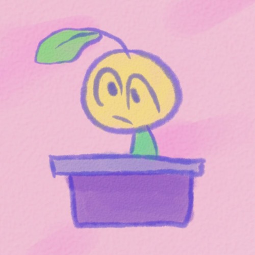 Game Show