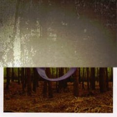Belong Of Canada - The Seven Opens The Forty Seven