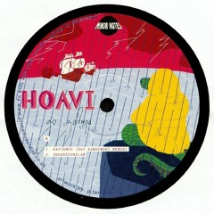 B1. Hoavi - Daytones (Ray Kandinski Remix)(MNRV004)