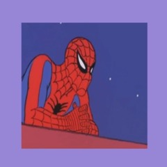 Ty - Spidey