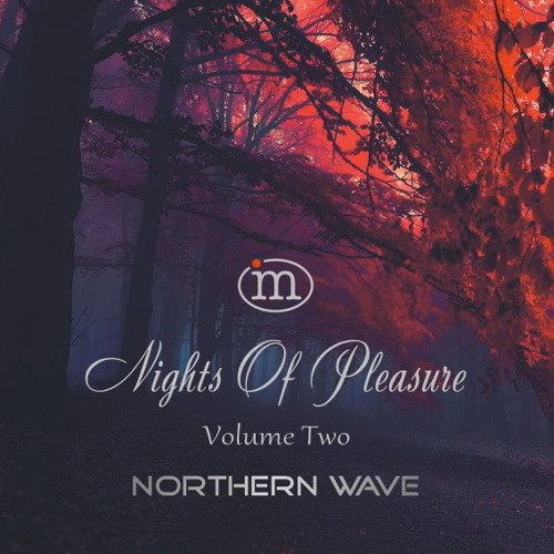 Northern Wave - Nights Of Pleasure. Volume Two (2019)