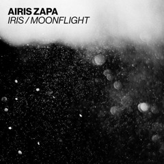 Airis Zapa - Moonflight (Original Mix)