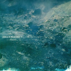 James A. McDermid "In Little Swallows" (Album Preview)