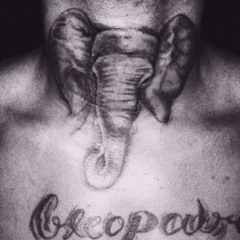 XXXTENTACION-ELEPHANT IN THE ROOM