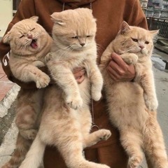 Sarah Mahri - 2U (cover)