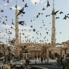 Zameen Puchti Hy Namazi Kaha Hain ( Shaz Khan& Sohail Moten)