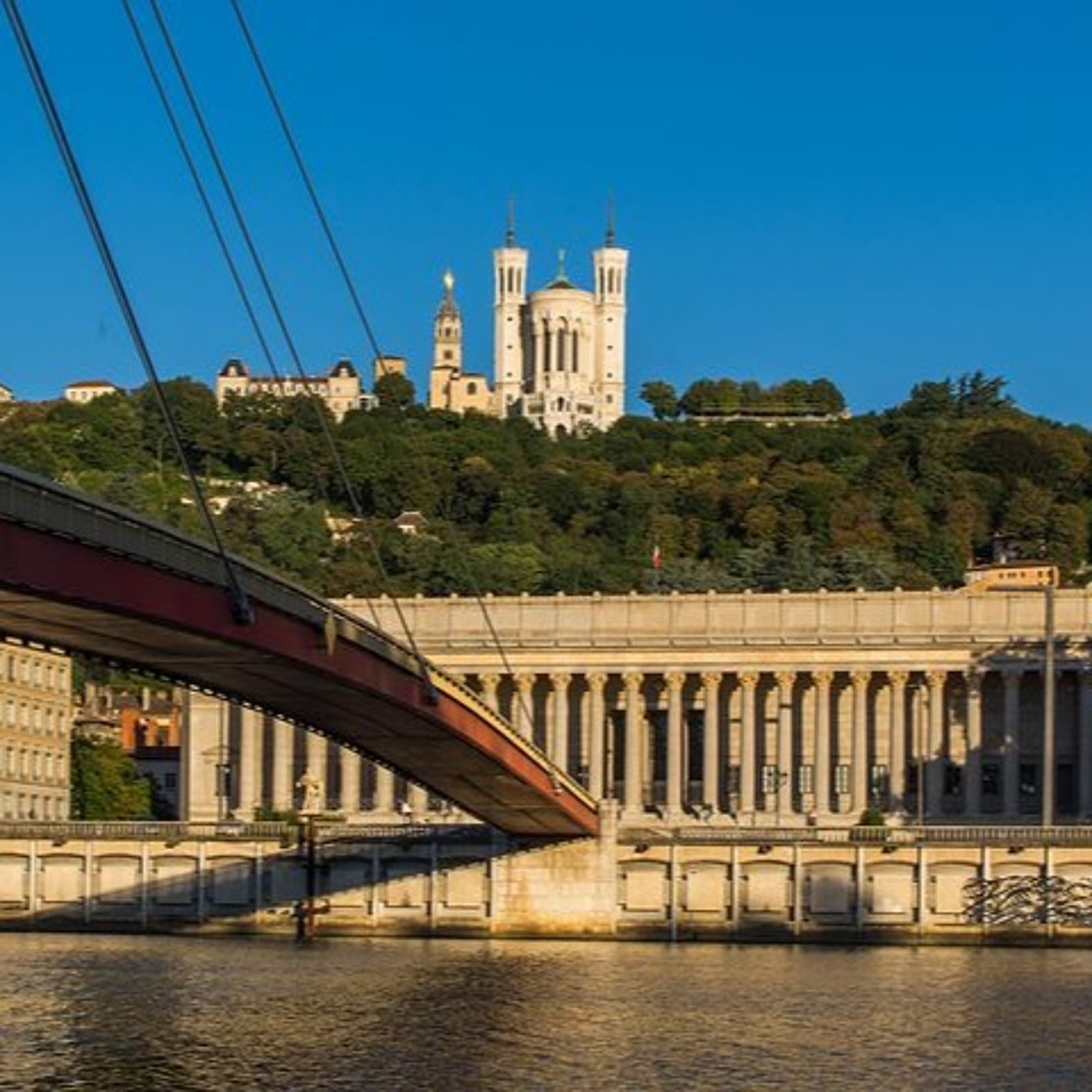 Les Lyonnais du monde réel