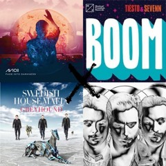 Avicii X Tiesto & Sevenn X Swedish House Mafia - Into Boomhound (Free Download)