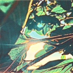 Banana Cream - We'll Shine (The Ambient Light Remix)