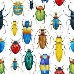 You Don't Send Me Psychedelic Bugs Anymore