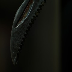 Blade Reflection