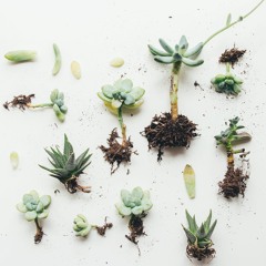 Say It- Maggie Rogers Cover