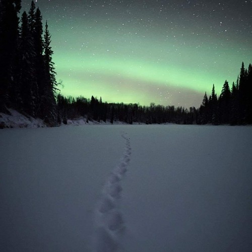 Canadian Winter