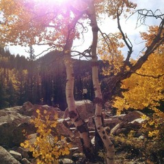 Autumn (I’ll Be Gone) – Demo