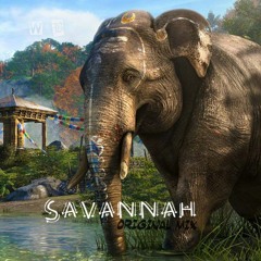 Savannah (Original Mix)