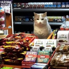 Khajit Has Wares If You Have Coin