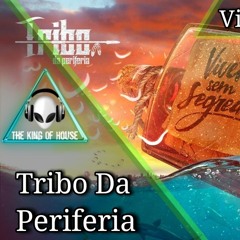 Tribo da Periferia - Viver sem Segredo (FZIRO Remix).mp3