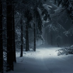 Winter Mystic Theme
