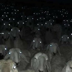 GHOST BABEL (FT WARU.CAM)