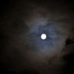 thin mints and popcorn- cover