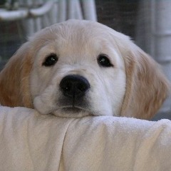 空と海と メロ入り