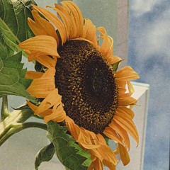 Sao khóc kìa em ? - Diệp Hoàng Anh ( c o v e r by Minstu )