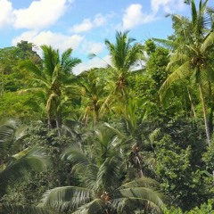 UNCMFTBLE Cypher - VVS, CHOSEN