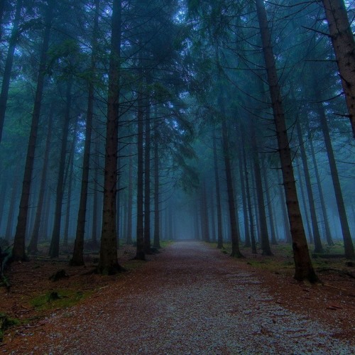 Stream Mocking Forest -160 [Darkpsy] by SPIRITUVEL | Listen online for ...