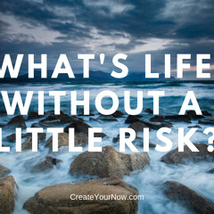 1485 What's Life Without A Little Risk?
