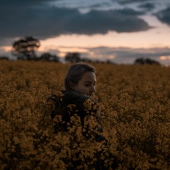 The Dying Sun - Nectar