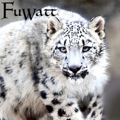 Snow Leopard