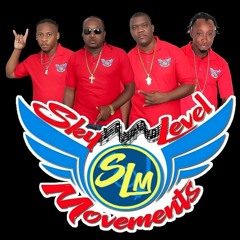 SKY LEVEL MOVEMENT'S DANCEHALL MIX