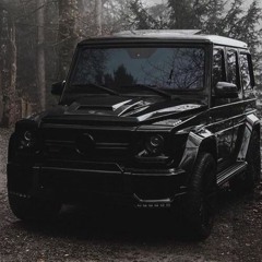 ГиоПика - Стая