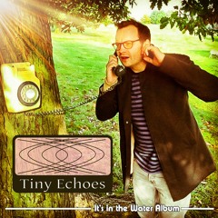 It's In The Water - Tiny Echoes