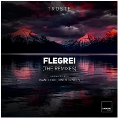 Troste - Flegrei (Ryan Dupree Remix)