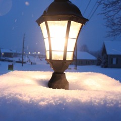 Blizzard Filled Void in The Depths of The Winter Forest