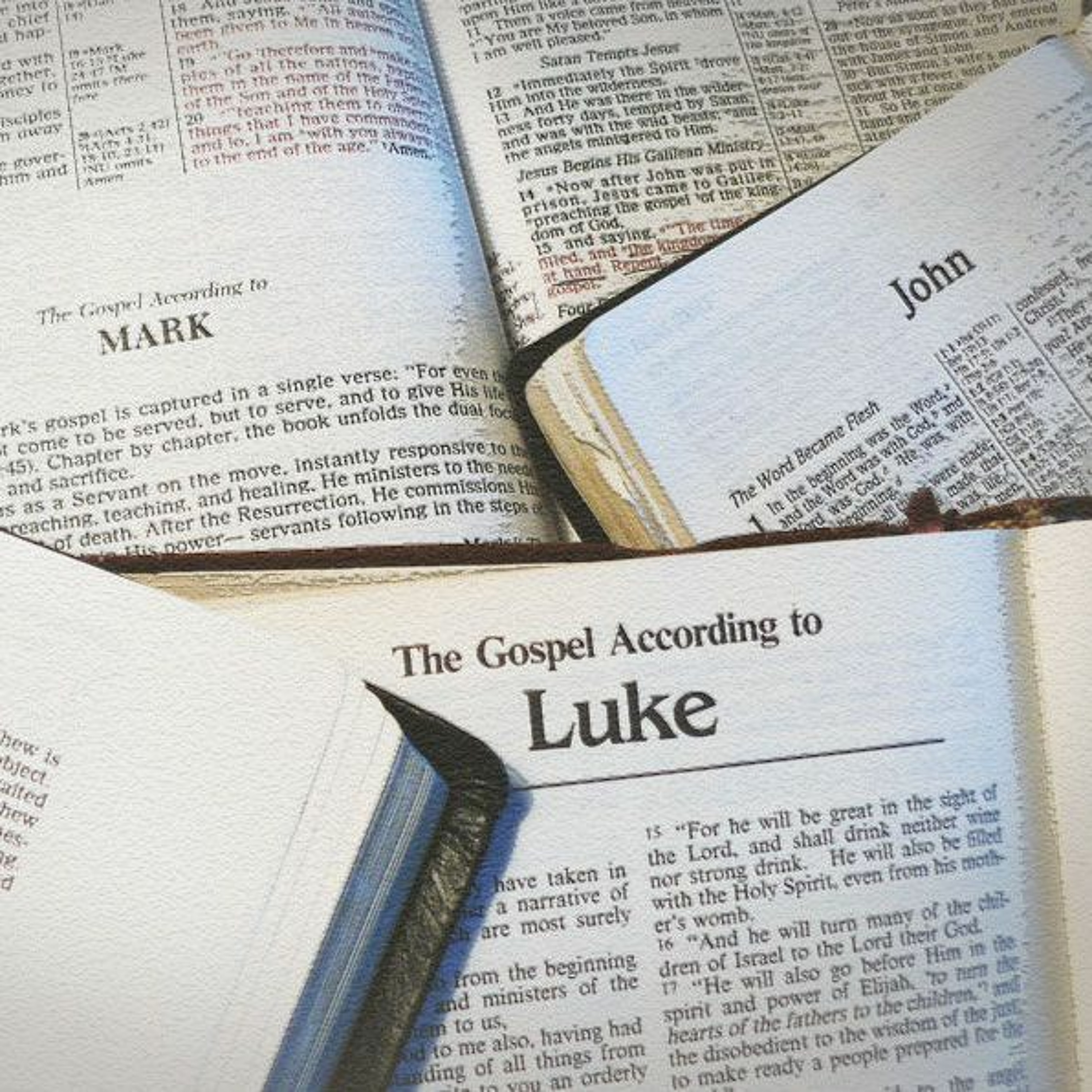 MERCYhouse University