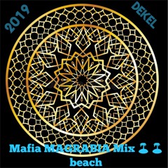 ZiKRi--LIVE MIX  Dekel Beach-2019