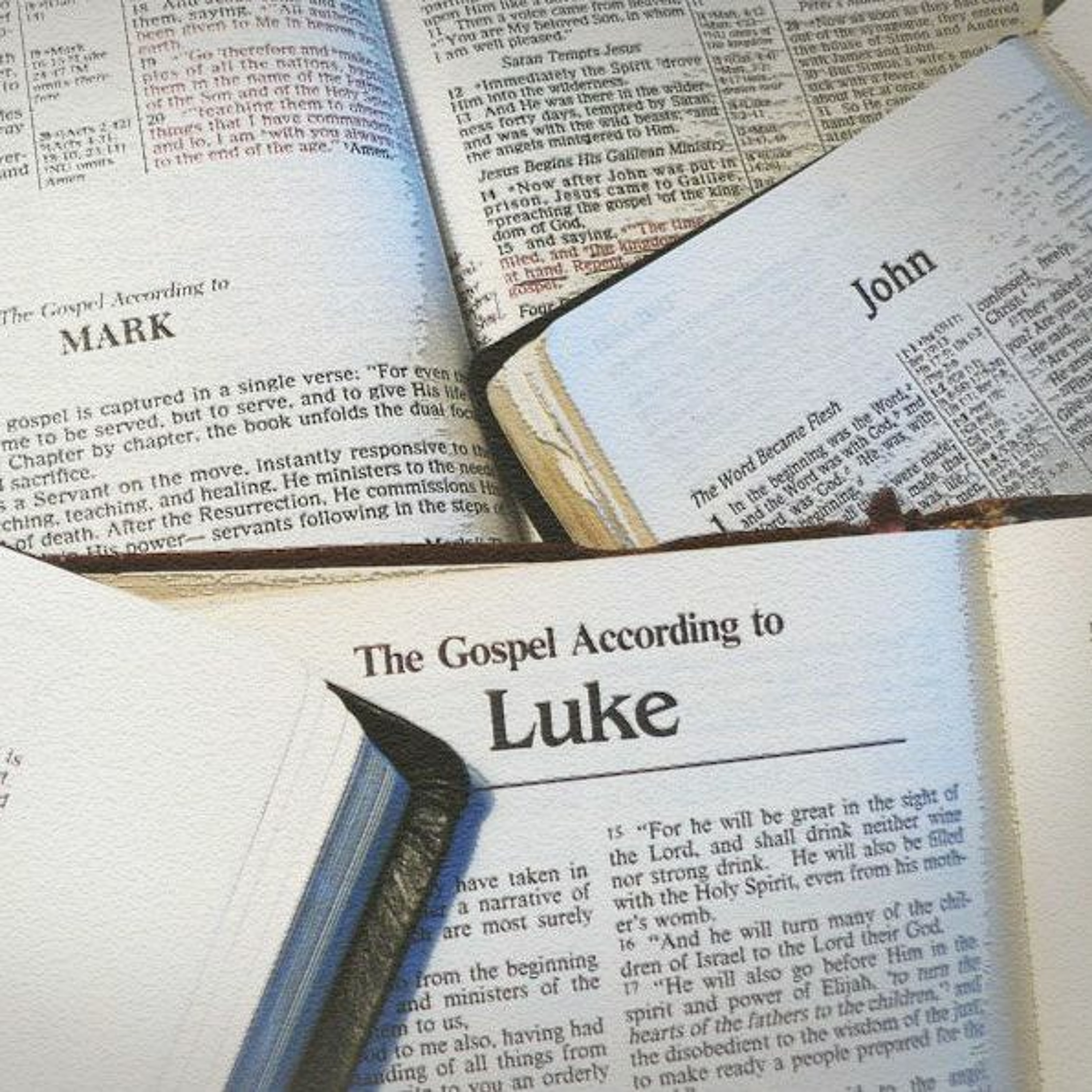 MERCYhouse University